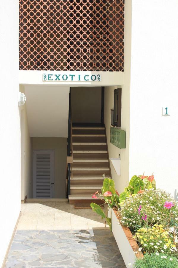 Holidaynorthtenerife Exotic Apartament Λος Ρεαλέχος Εξωτερικό φωτογραφία