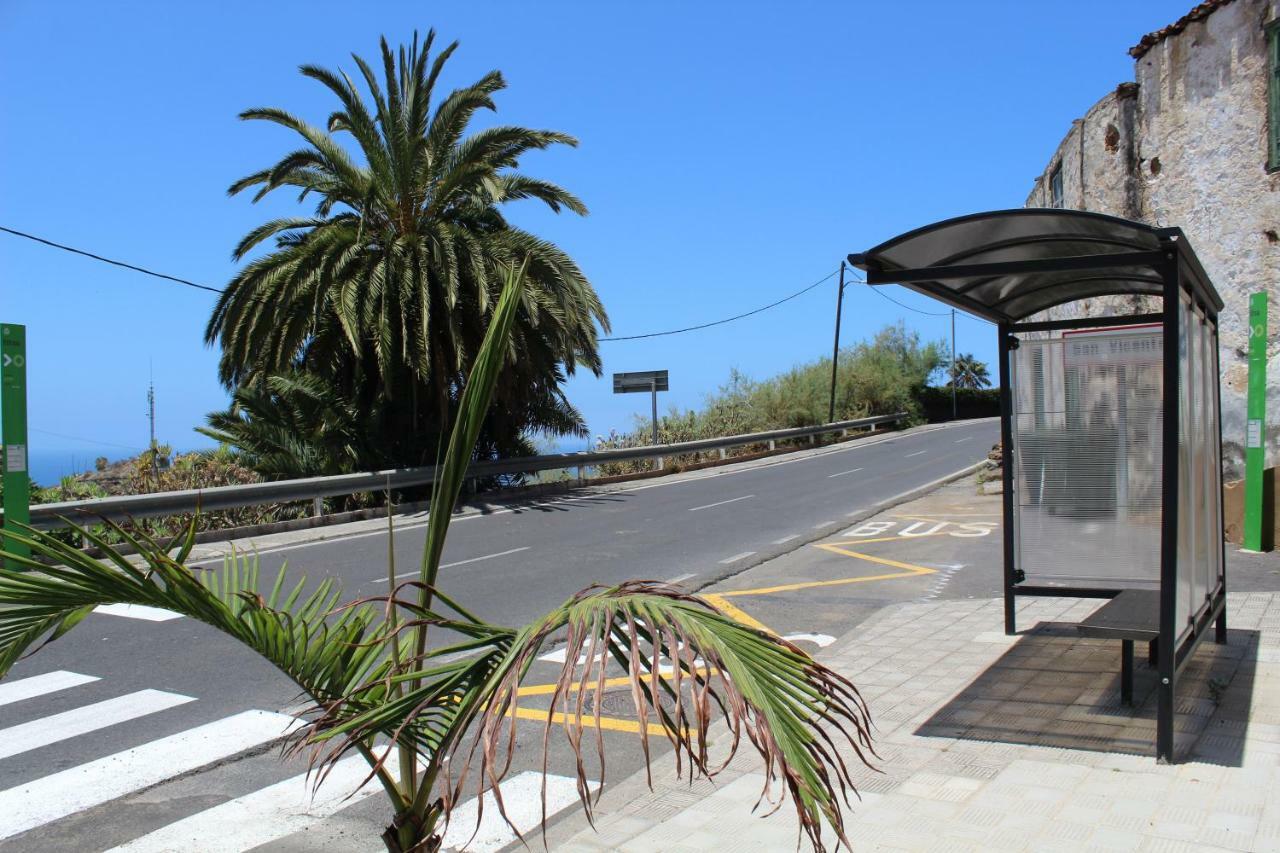 Holidaynorthtenerife Exotic Apartament Λος Ρεαλέχος Εξωτερικό φωτογραφία