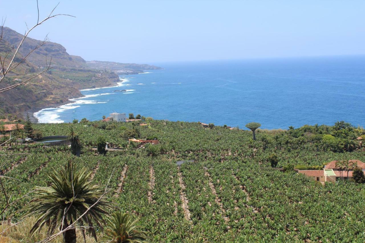 Holidaynorthtenerife Exotic Apartament Λος Ρεαλέχος Εξωτερικό φωτογραφία