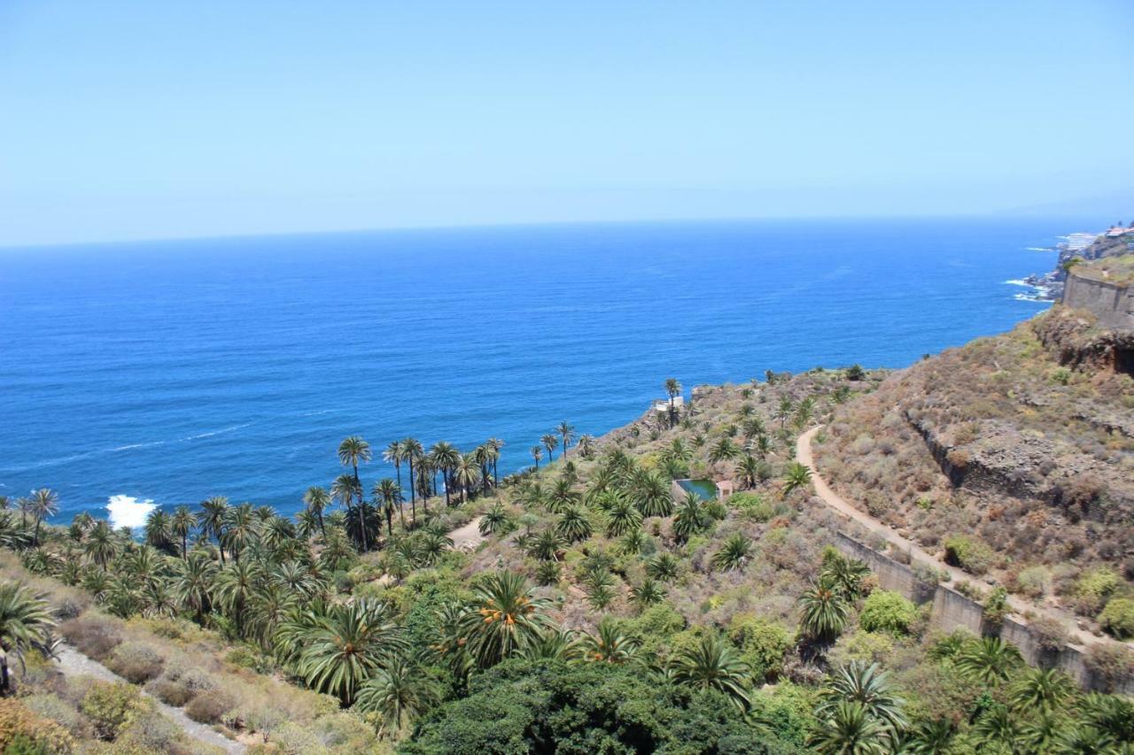 Holidaynorthtenerife Exotic Apartament Λος Ρεαλέχος Εξωτερικό φωτογραφία